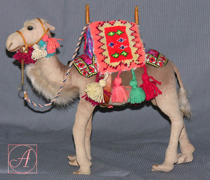 Верблюд бедуина (Дромадер)